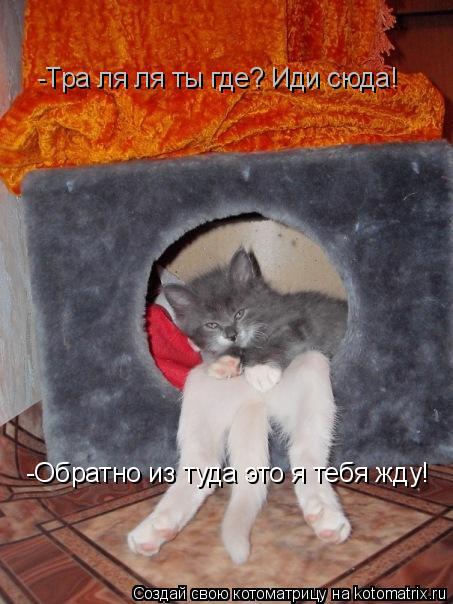 -Тра ля ля ты где? Иди сюда! -Обратно из туда это я тебя жду!... Котоматрица: -Тра ля ля ты где? Иди сюда! -Обратно из туда это я тебя жду!