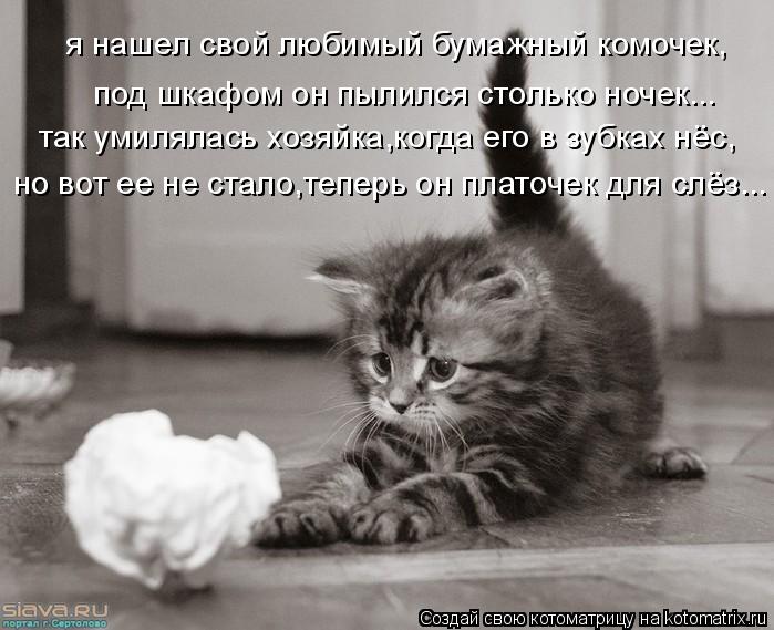 я нашел свой любимый бумажный комочек, под шкафом он пылился столько ночек... так умилялась хозяйка,к... Котоматрица: я нашел свой любимый бумажный комочек, под шкафом он пылился столько ночек... так умилялась хозяйка,когда его в зубках нёс, но вот ее не стало