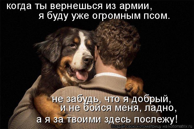 когда ты вернешься из армии, я буду уже огромным псом. не забудь, что я добрый, и не бойся меня, ла... Котоматрица: когда ты вернешься из армии, я буду уже огромным псом. не забудь, что я добрый, и не бойся меня, ладно, а я за твоими здесь послежу!