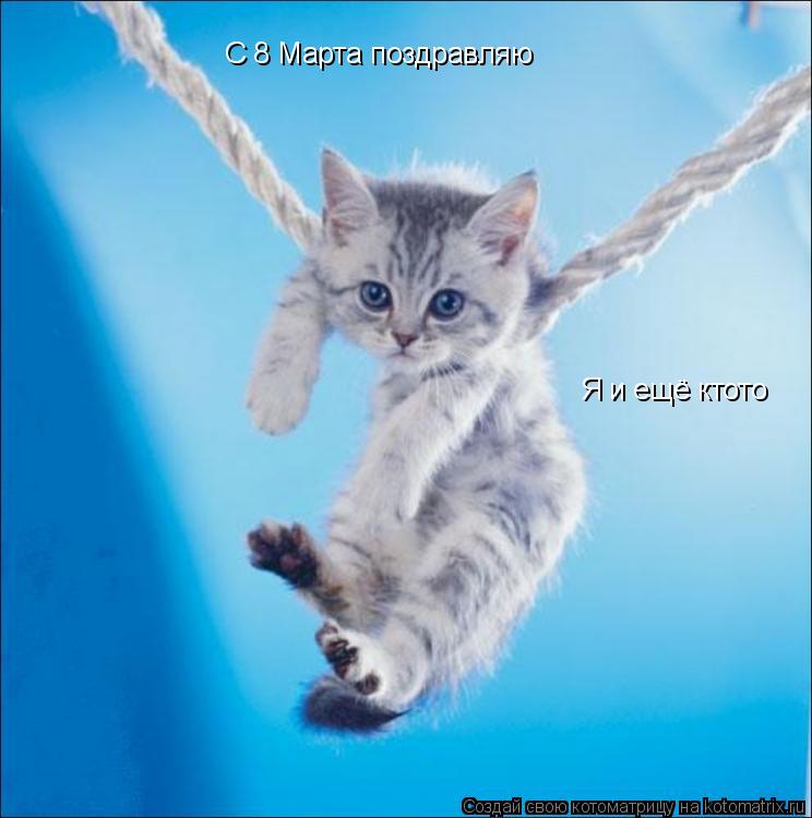 Котоматрица: С 8 Марта поздравляю Я и ещё ктото