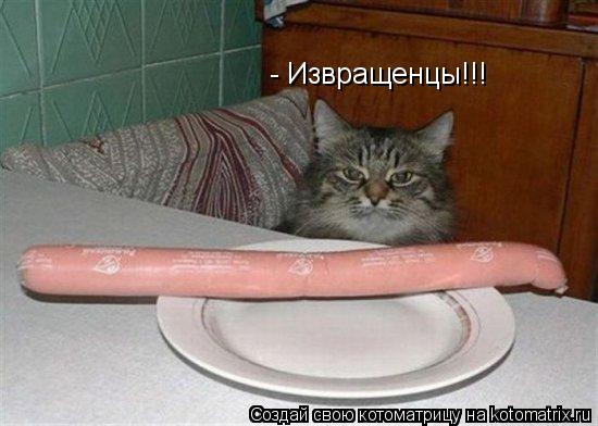 Котоматрица: - Извращенцы!!!