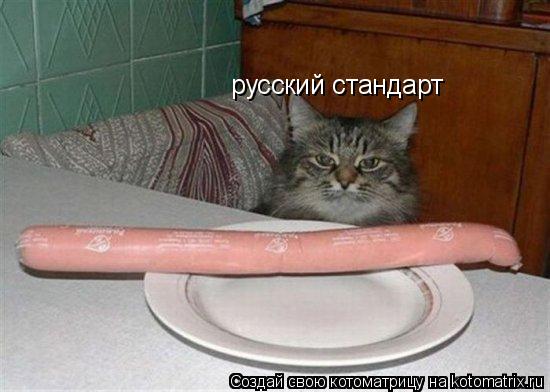 Котоматрица: русский стандарт