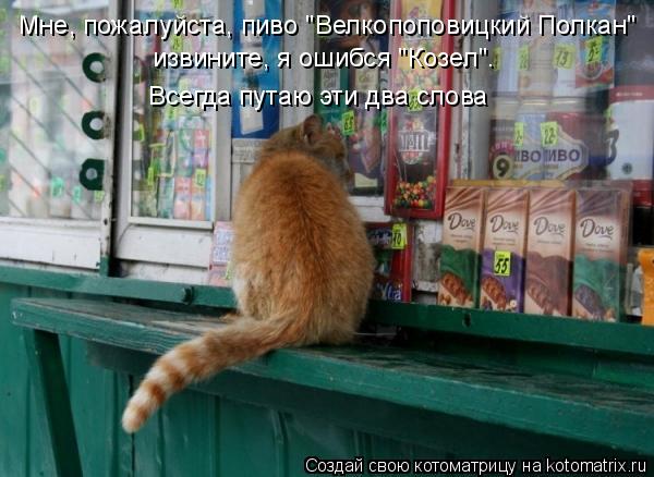 Котоматрица: Мне, пожалуйста, пиво "Велкопоповицкий Полкан" извините, я ошибся "Козел". Всегда путаю эти два слова