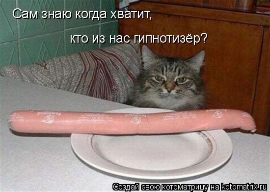 Котоматрица: кто из нас гипнотизёр? Сам знаю когда хватит,