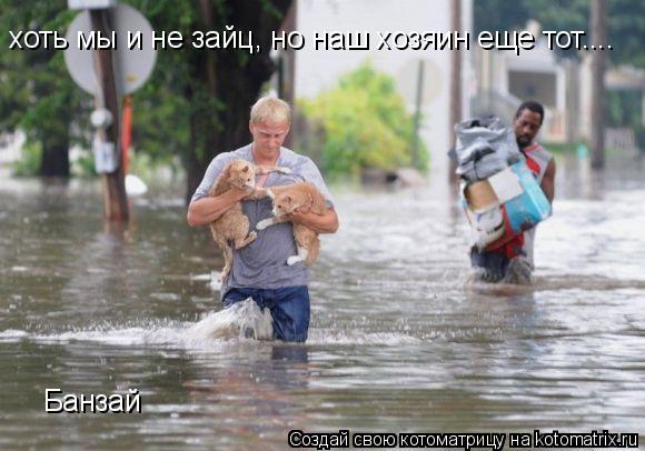 хоть мы и не зайц, но наш хозяин еще тот.... Банзай... Котоматрица: хоть мы и не зайц, но наш хозяин еще тот.... Банзай