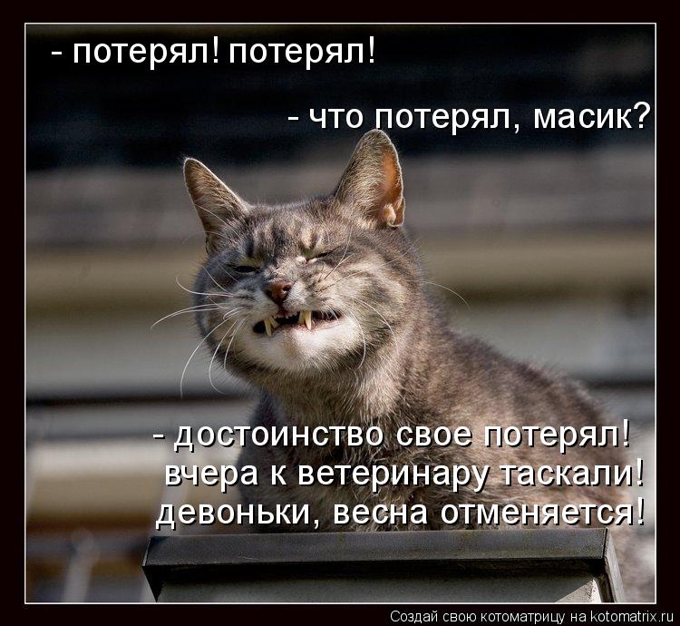 Котоматрица: - потерял! потерял! - что потерял, масик? - достоинство свое потерял! вчера к ветеринару таскали!  девоньки, весна отменяется!