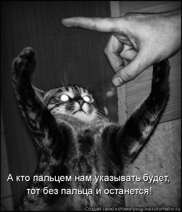 А кто пальцем нам указывать будет, тот без пальца и останется!... Котоматрица: А кто пальцем нам указывать будет, тот без пальца и останется!