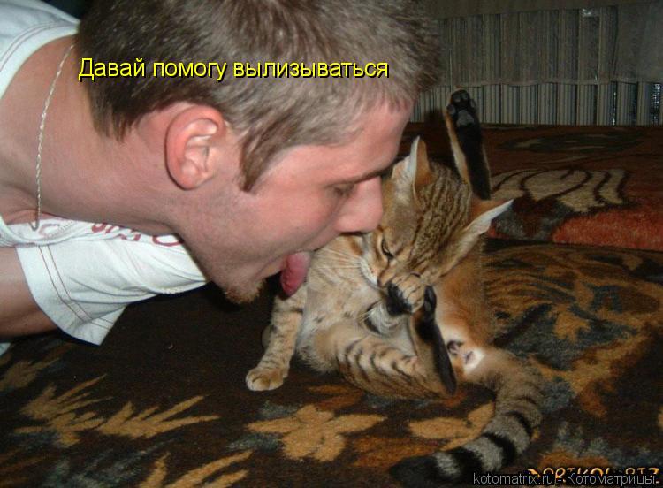 Котоматрица: Давай помогу вылизываться