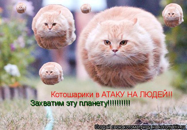 Котоматрица: Котошарики в АТАКУ НА ЛЮДЕЙ!! Захватим эту планету!!!!!!!!!!