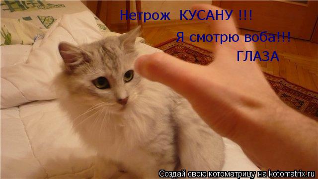 Котоматрица: Нетрож  КУСАНУ !!! Я смотрю воба!!! ГЛАЗА