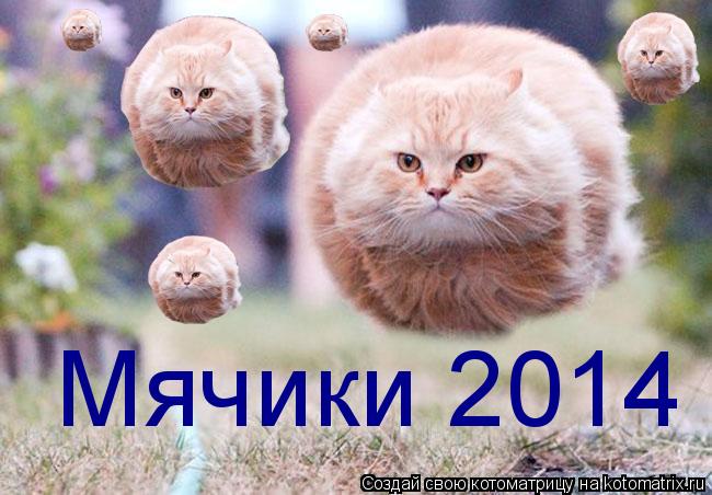 Котоматрица: Мячики 2014