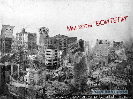 Котоматрица: Мы коты "ВОИТЕЛИ"