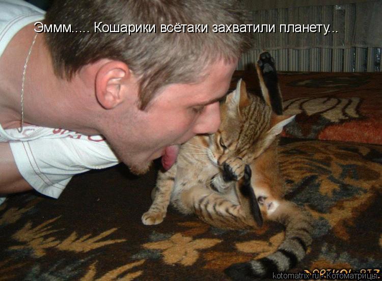 Котоматрица: Эммм..... Кошарики всётаки захватили планету...