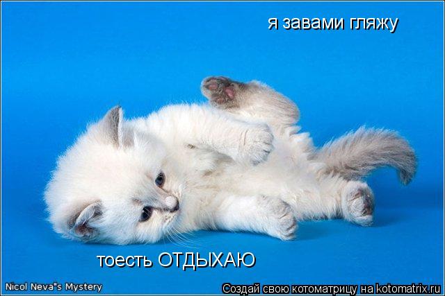 Котоматрица: я завами гляжу тоесть ОТДЫХАЮ