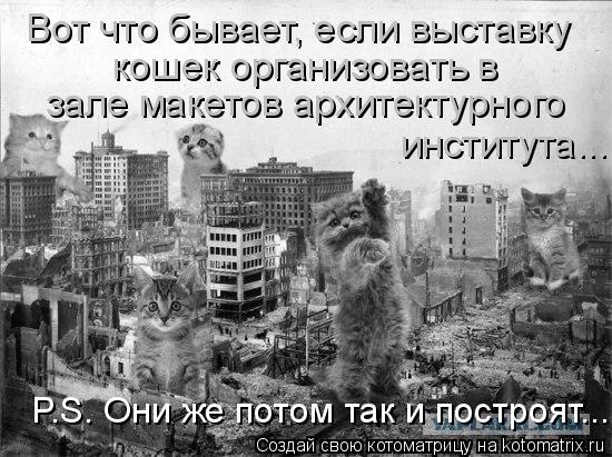 Котоматрица: Вот что бывает, если выставку кошек организовать в зале макетов архитектурного института... P.S. Они же потом так и построят...
