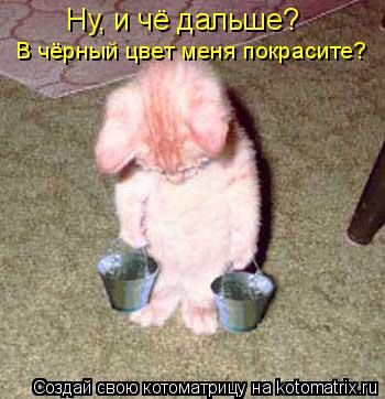 Котоматрица: Ну, и чё дальше? В чёрный цвет меня покрасите?