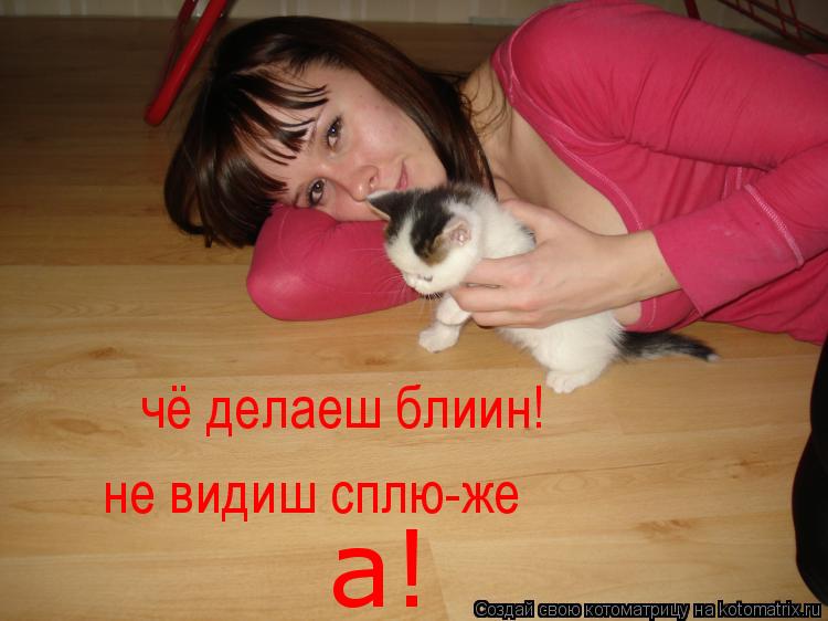 Котоматрица: чё делаеш блиин! не видиш сплю-же а!