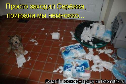 Котоматрица: Просто заходил Серёжка,  поиграли мы немножко...