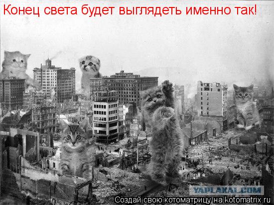 Котоматрица: Конец света будет выглядеть именно так!