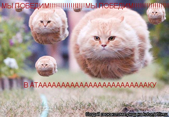 В АТААААААААААААААААААААААААКУ МЫ ПОБЕДИМ!!!!!!!!!!!!!!!!!МЫ ПОБЕДИМ!!!!!!!!!!!!!!!!!... Котоматрица: В АТААААААААААААААААААААААААКУ МЫ ПОБЕДИМ!!!!!!!!!!!!!!!!!МЫ ПОБЕДИМ!!!!!!!!!!!!!!!!!