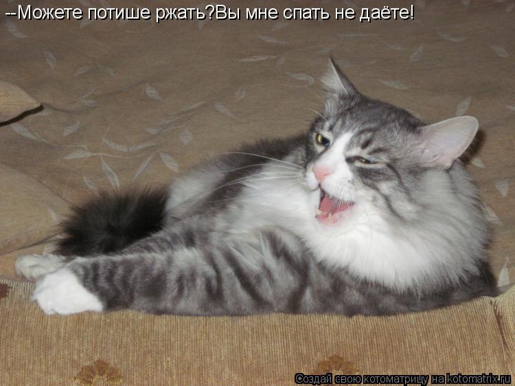 --Можете потише ржать?Вы мне спать не даёте!... Котоматрица: --Можете потише ржать?Вы мне спать не даёте!