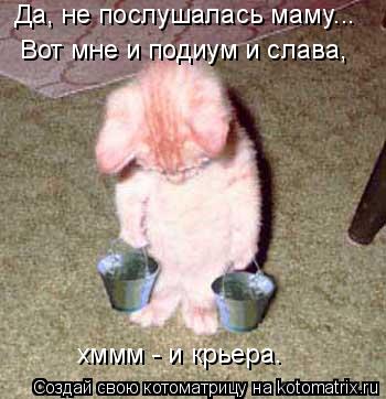 Да, не послушалась маму... Вот мне и подиум и слава, хммм - и крьера.... Котоматрица: Да, не послушалась маму... Вот мне и подиум и слава, хммм - и крьера.