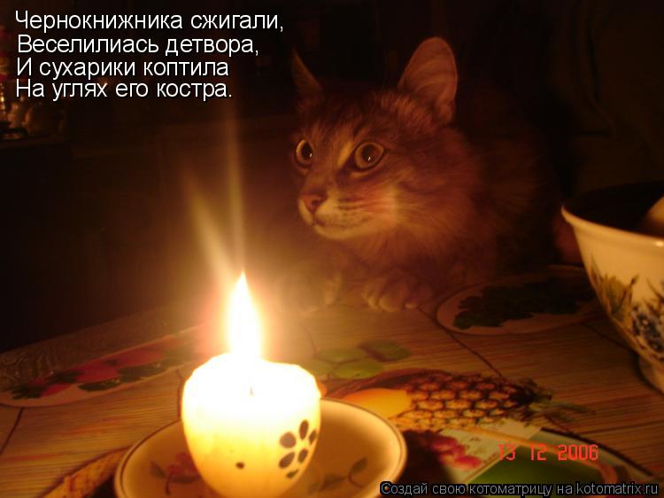 Чернокнижника сжигали, Веселилиась детвора, И сухарики коптила На углях его костра.... Котоматрица: Чернокнижника сжигали, Веселилиась детвора, И сухарики коптила На углях его костра.