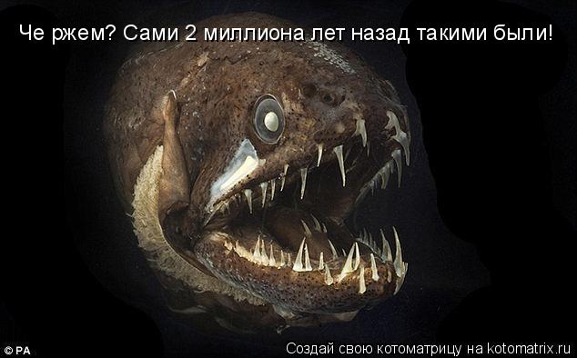 Че ржем? Сами 2 миллиона лет назад такими были!... Котоматрица: Че ржем? Сами 2 миллиона лет назад такими были!
