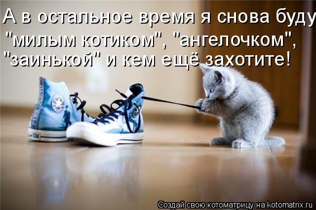 А в остальное время я снова буду "милым котиком", "ангелочком", "заинькой" и кем ещё захотите!... Котоматрица: А в остальное время я снова буду "милым котиком", "ангелочком", "заинькой" и кем ещё захотите!