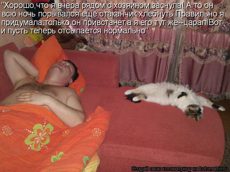 "Хорошо,что я вчера рядом с хозяином заснула! А то он всю ночь порывался ещё стаканчик хлебнуть.Прави... Котоматрица: "Хорошо,что я вчера рядом с хозяином заснула! А то он всю ночь порывался ещё стаканчик хлебнуть.Правильно я придумала:только он привстанет,а