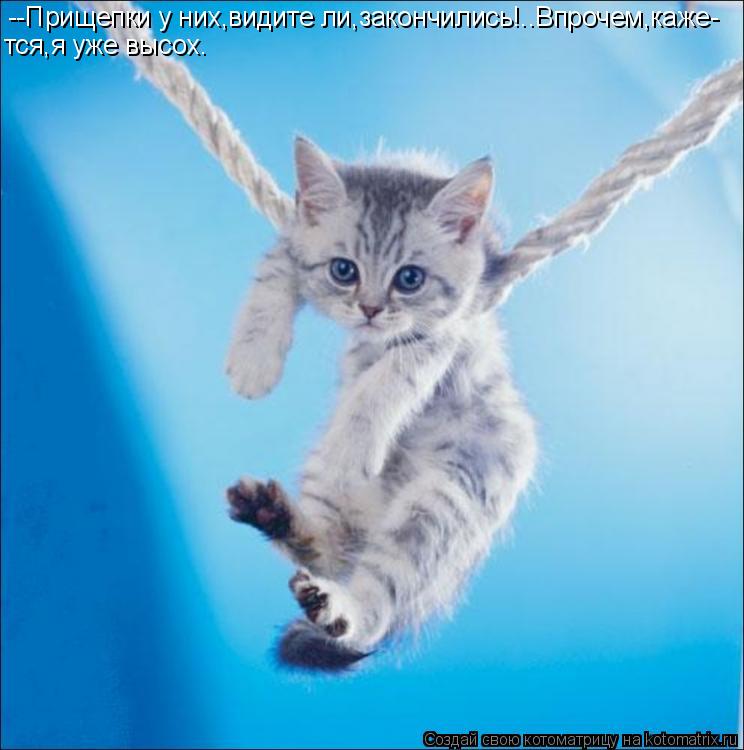 --Прищепки у них,видите ли,закончились!..Впрочем,каже- тся,я уже высох.... Котоматрица: --Прищепки у них,видите ли,закончились!..Впрочем,каже- тся,я уже высох.