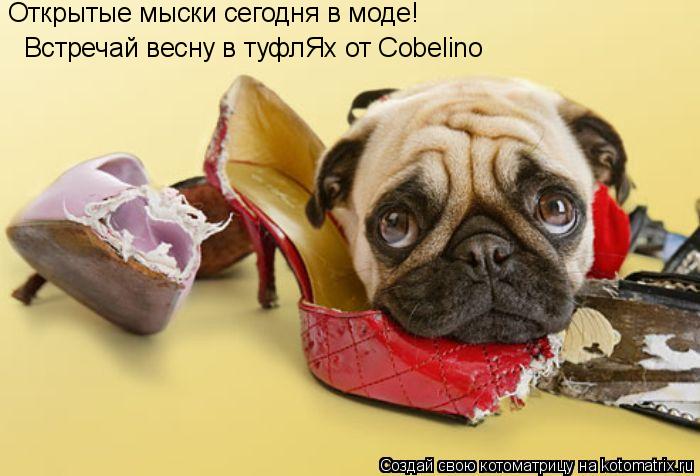 Открытые мыски сегодня в моде! Встречай весну в туфлЯх от Cobelino... Котоматрица: Открытые мыски сегодня в моде! Встречай весну в туфлЯх от Cobelino