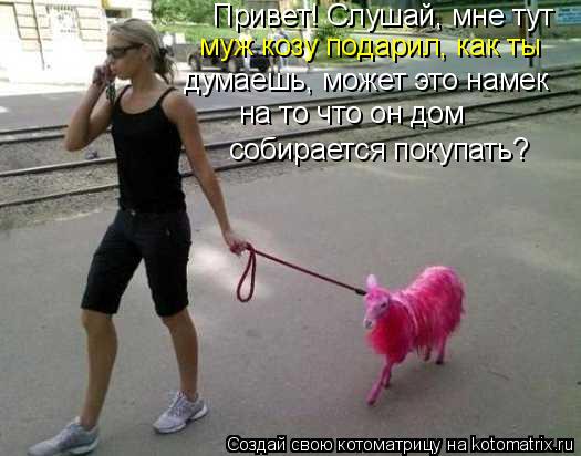 Привет! Слушай, мне тут муж козу подарил, как ты думаешь, может это намек на то что он дом собираетс... Котоматрица: Привет! Слушай, мне тут муж козу подарил, как ты думаешь, может это намек на то что он дом собирается покупать?