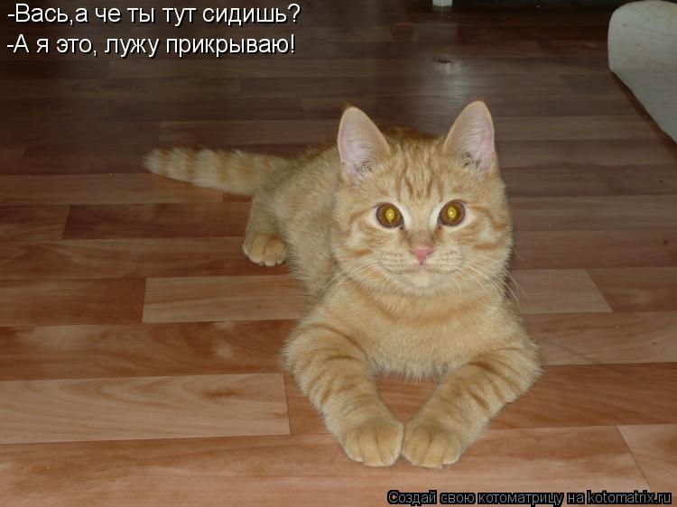 -Вась,а че ты тут сидишь? -А я это, лужу прикрываю!... Котоматрица: -Вась,а че ты тут сидишь? -А я это, лужу прикрываю!