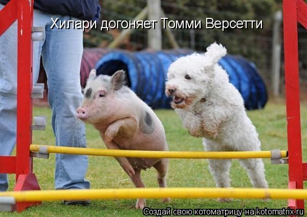 Хилари догоняет Томми Версетти... Котоматрица: Хилари догоняет Томми Версетти