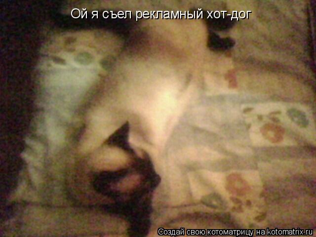 Котоматрица: Ой я съел рекламный хот-дог