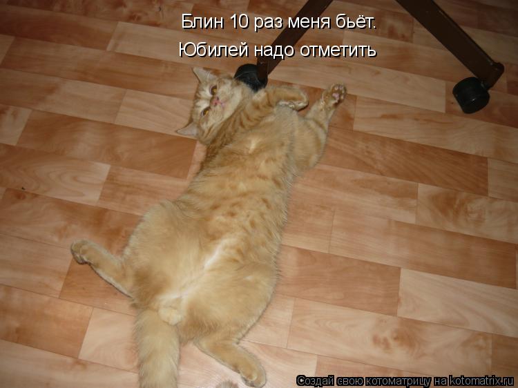 Котоматрица: Блин 10 раз меня бьёт. Юбилей надо отметить