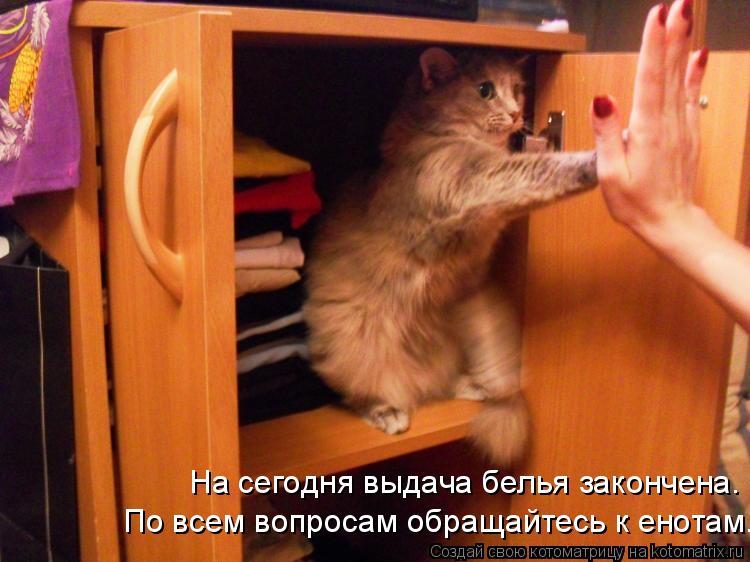 На сегодня выдача белья закончена. По всем вопросам обращайтесь к енотам.... Котоматрица: На сегодня выдача белья закончена. По всем вопросам обращайтесь к енотам.