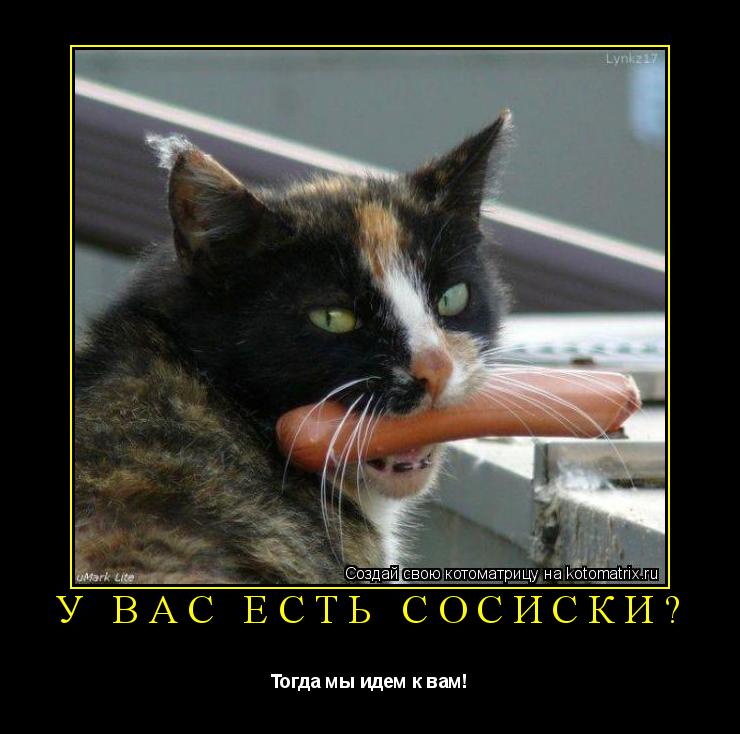 У вас есть сосиски? Тогда мы идем к вам!... Котоматрица: У вас есть сосиски? Тогда мы идем к вам!