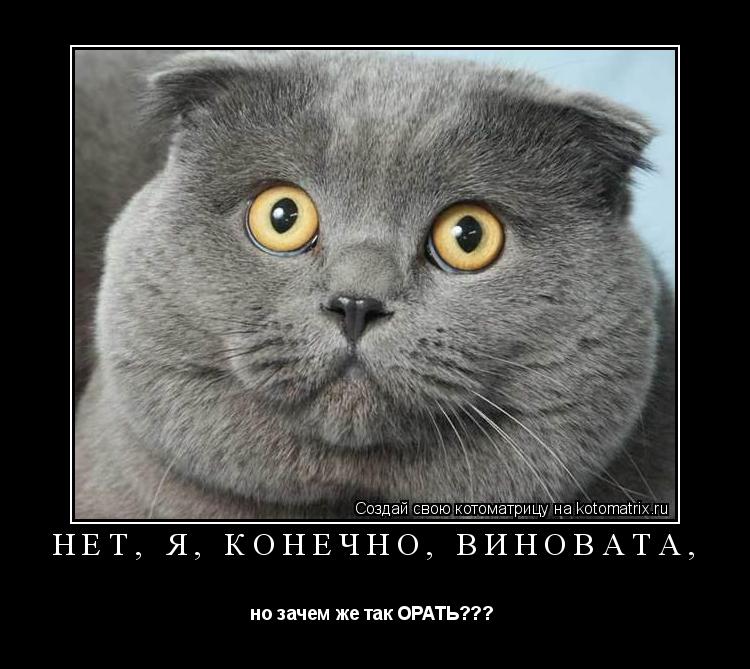 Котоматрица: Нет, я, конечно, виновата,  но зачем же так ОРАТЬ??? 