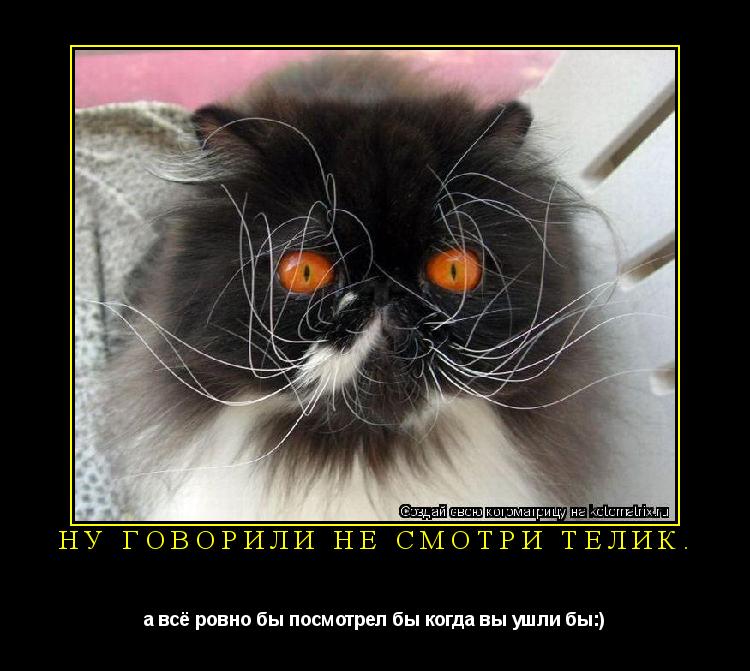 Котоматрица: НУ ГОВОРИЛИ НЕ СМОТРИ ТЕЛИК. а всё ровно бы посмотрел бы когда вы ушли бы:)