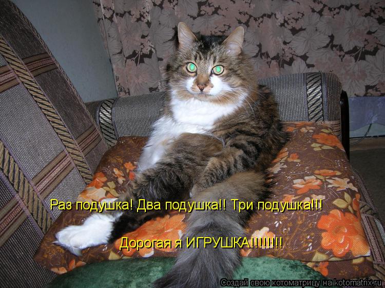 Котоматрица: Раз подушка! Два подушка!! Три подушка!!! Дорогая я ИГРУШКА!!!!!!!!