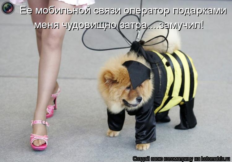 Котоматрица: Ее мобильной связи оператор подарками   меня чудовищно затра....замучил!