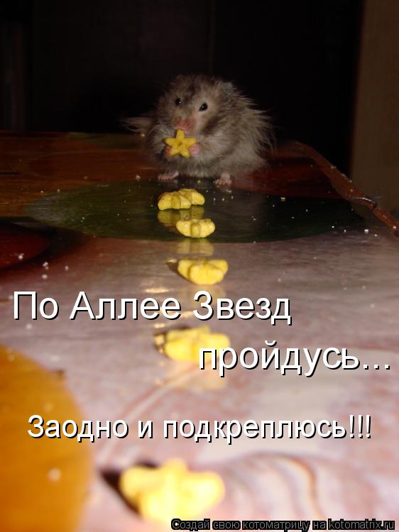Котоматрица: По Аллее Звезд пройдусь... Заодно и подкреплюсь!!!