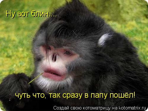 Котоматрица: Ну вот блин.... чуть что, так сразу в папу пошёл!