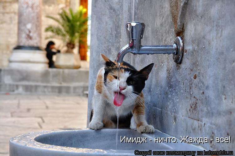 Имидж - ничто. Жажда - все!... Котоматрица: Имидж - ничто. Жажда - все!