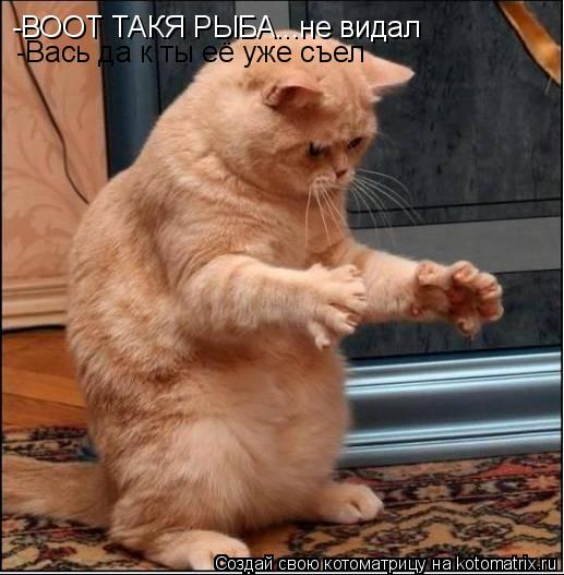 -ВООТ ТАКЯ РЫБА...не видал -Вась да к ты её уже съел... Котоматрица: -ВООТ ТАКЯ РЫБА...не видал -Вась да к ты её уже съел