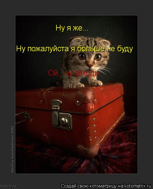 Ну я же... Ну пожалуйста я больше не буду Ой...ну заходи... Котоматрица: Ну я же... Ну пожалуйста я больше не буду Ой...ну заходи