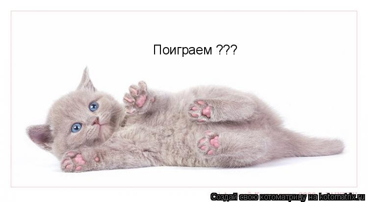 Котоматрица: Поиграем ???