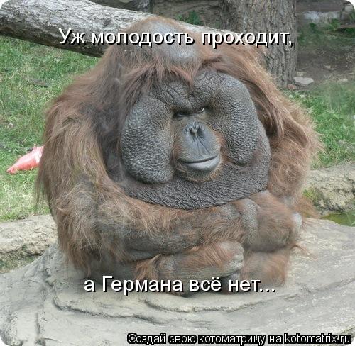 Котоматрица: Уж молодость проходит, а Германа всё нет...
